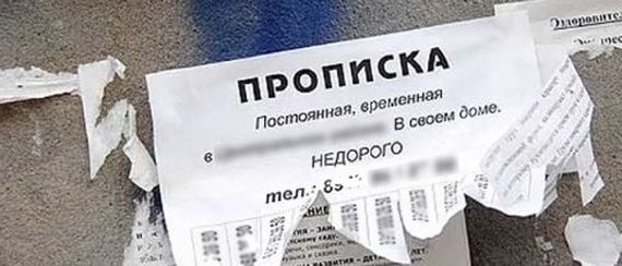прописка в Гороховце